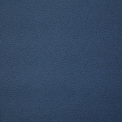Pindler LASSO HARBOR Fabric