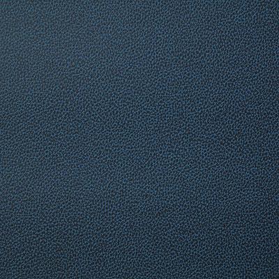 Pindler Lasso Ink Fabric – DecoratorsBest