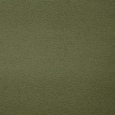 Pindler LASSO PALM Fabric