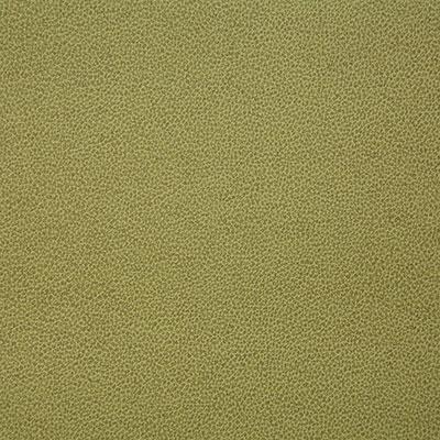 Pindler LASSO CITRON Fabric