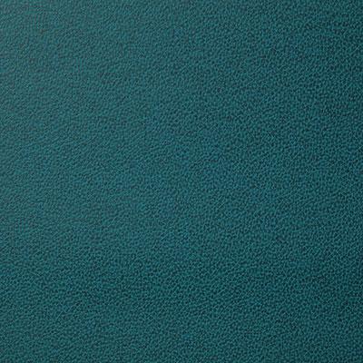 Pindler LASSO TEAL Fabric