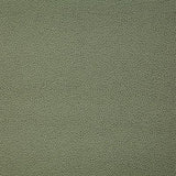 Pindler LASSO MOSS Fabric