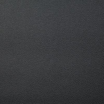 Pindler LASSO CHARCOAL Fabric