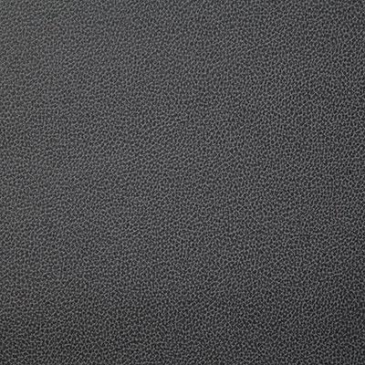 Pindler LASSO THUNDER Fabric