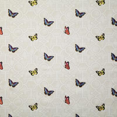 Pindler NOVA PAPYRUS Fabric