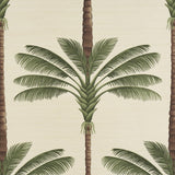 Schumacher A Palm Is A Palm Sisal Daylight Evergreen Wallpaper