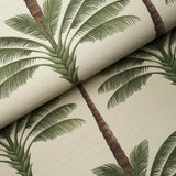 Schumacher A Palm Is A Palm Sisal Daylight Evergreen Wallpaper