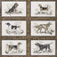 Schumacher Chasers Legacy Bark Wallpaper