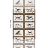 Schumacher Chasers Legacy Bark Wallpaper