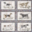 Schumacher Chasers Legacy Slate Wallpaper
