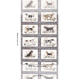 Schumacher Chasers Legacy Slate Wallpaper