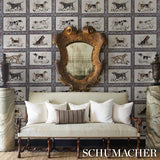 Schumacher Chasers Legacy Slate Wallpaper