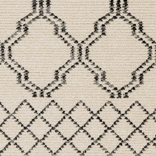 Surya Calico CAC-2303 2'7" x 7'7" Rug