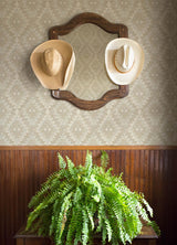 Brewster Home Fashions Montana Beige Wallpaper