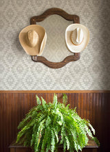 Brewster Home Fashions Montana Ash Wallpaper