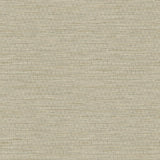 Brewster Home Fashions Plaited Grass Sage Wallpaper