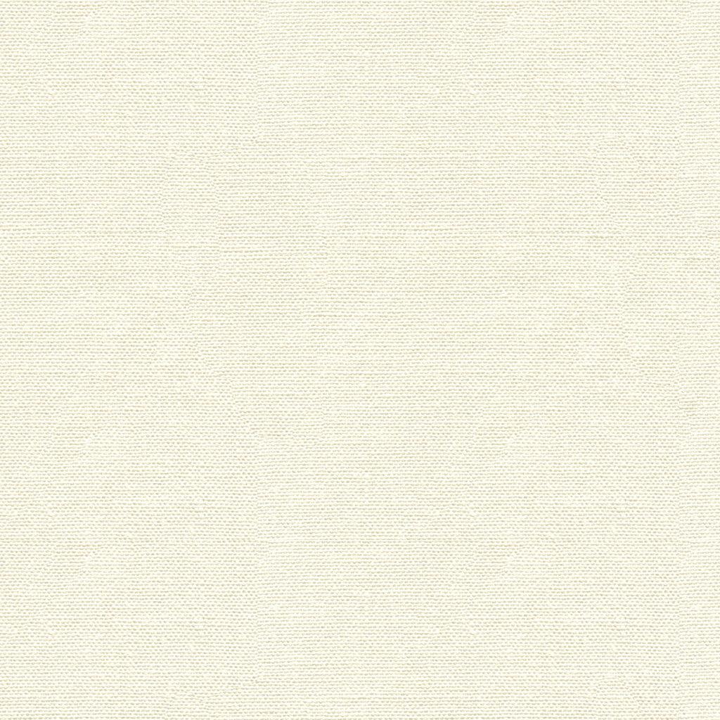 Lee Jofa WATERMILL LINEN OPTIC WHITE Fabric