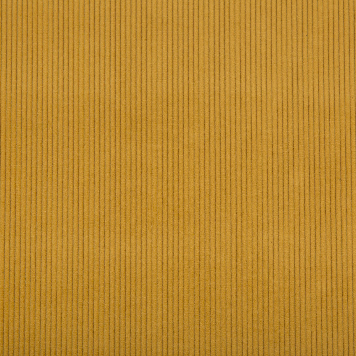 Lee Jofa SARANAC CORD GOLD Upholstery Fabric