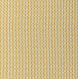 Lee Jofa KAYA II MAIZE Fabric