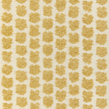 Lee Jofa KAYA II MAIZE Fabric