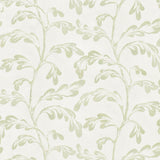 Lee Jofa AVA NIVELLES OYSTER CELADON Fabric