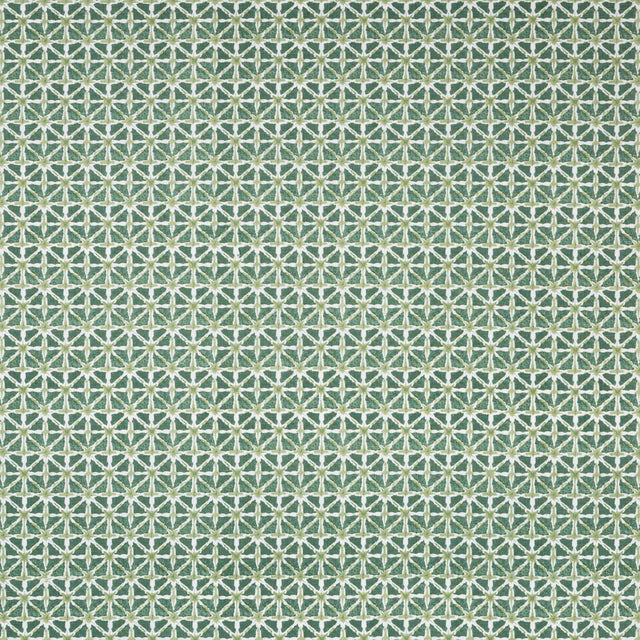 Lee Jofa SYLVAN PRINT ALOE Fabric