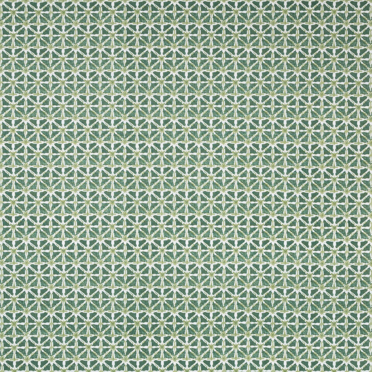 Lee Jofa SYLVAN PRINT ALOE Fabric