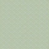 Lee Jofa HADIQA CELADON Fabric