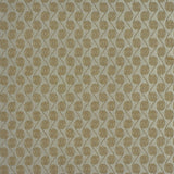 Kravet WOUND TIGHT STERLING Fabric