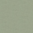 Kravet DUBLIN LEAF Fabric
