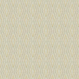 Kravet ELECTRA LUMINAIRE Fabric