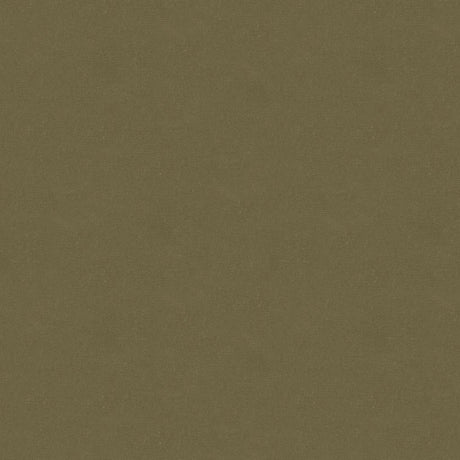 Kravet IVA MUSHROOM Upholstery Fabric