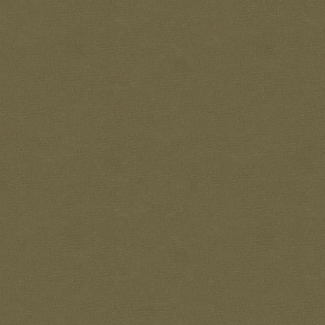 Kravet IVA MUSHROOM Upholstery Fabric