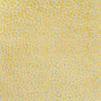 Kravet FLURRIES CITRINE Upholstery Fabric