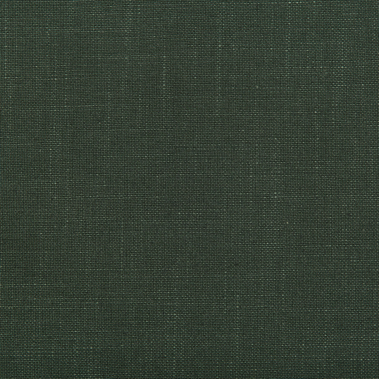 Kravet AURA FERN Fabric