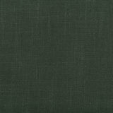 Kravet AURA FERN Fabric