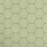 Kravet PIATTO ENDIVE Upholstery Fabric