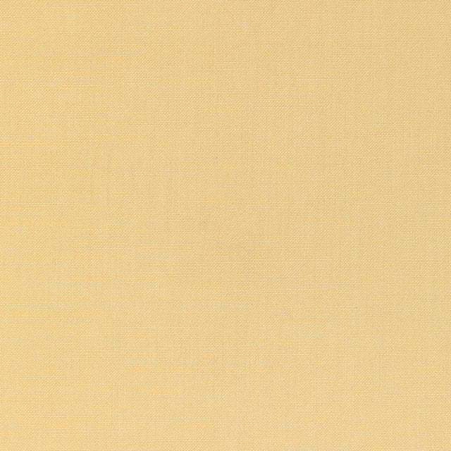 Kravet BASICS 36055 40 Fabric