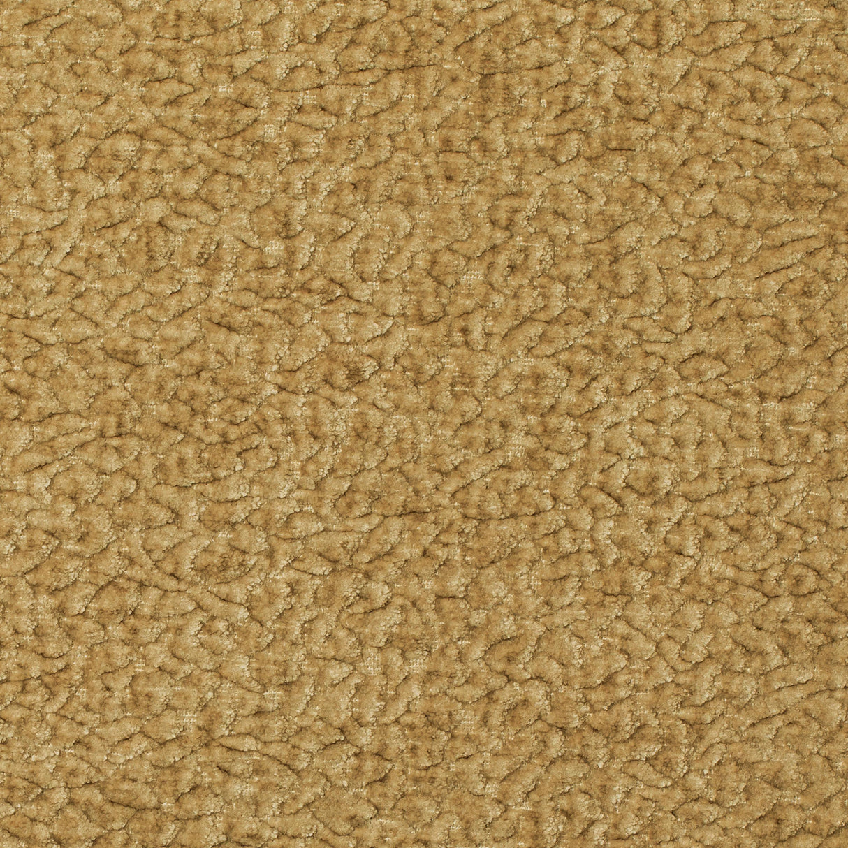 Kravet BARTON CHENILLE HONEY Upholstery Fabric