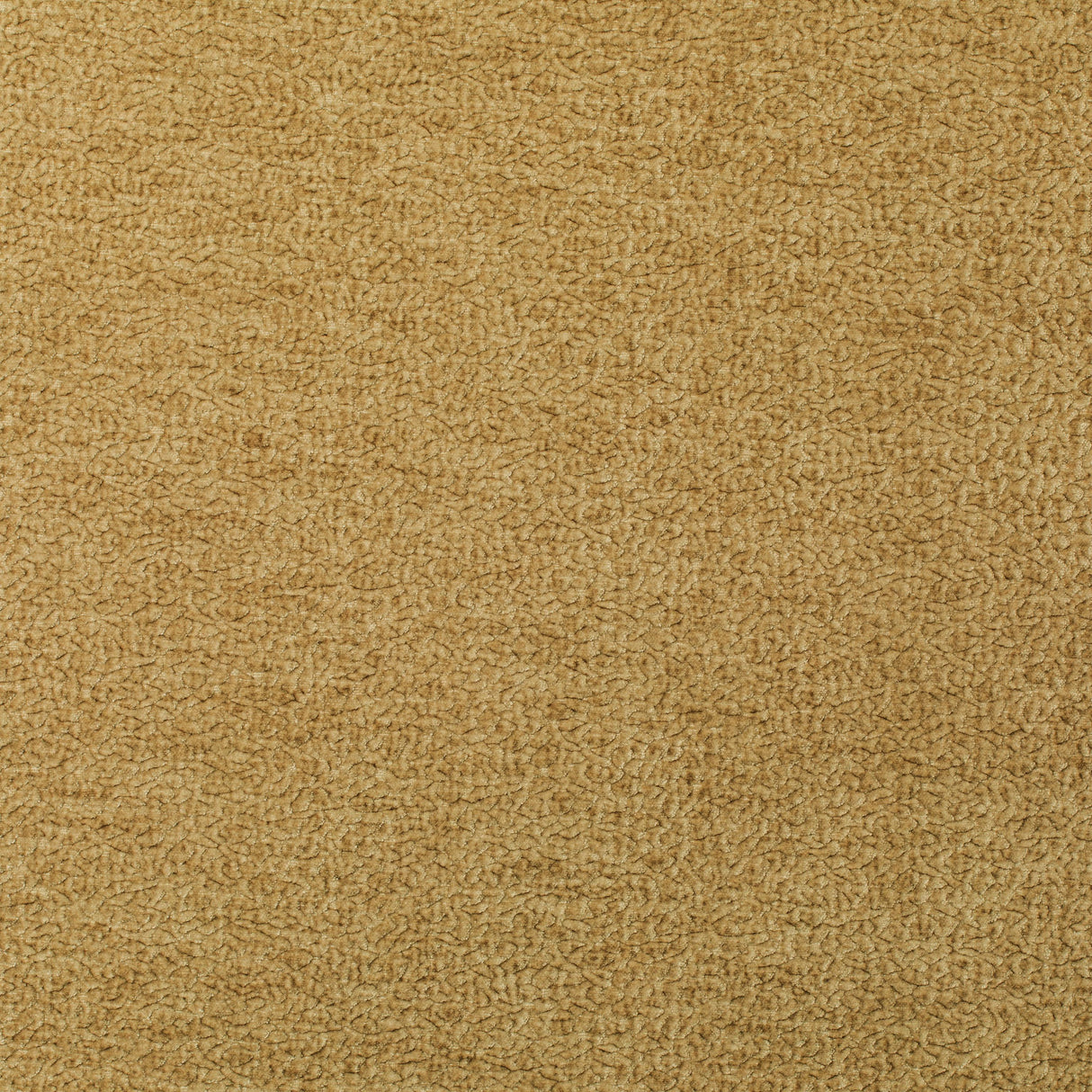 Kravet BARTON CHENILLE HONEY Upholstery Fabric