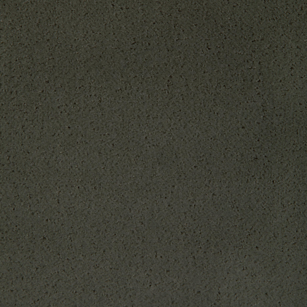 Kravet FOMO LODEN Upholstery Fabric