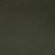 Kravet FOMO LODEN Upholstery Fabric