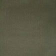 Kravet FOMO FENNEL Upholstery Fabric