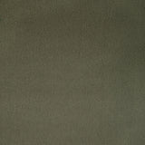 Kravet FOMO FENNEL Upholstery Fabric