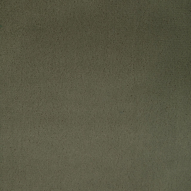 Kravet FOMO FENNEL Upholstery Fabric