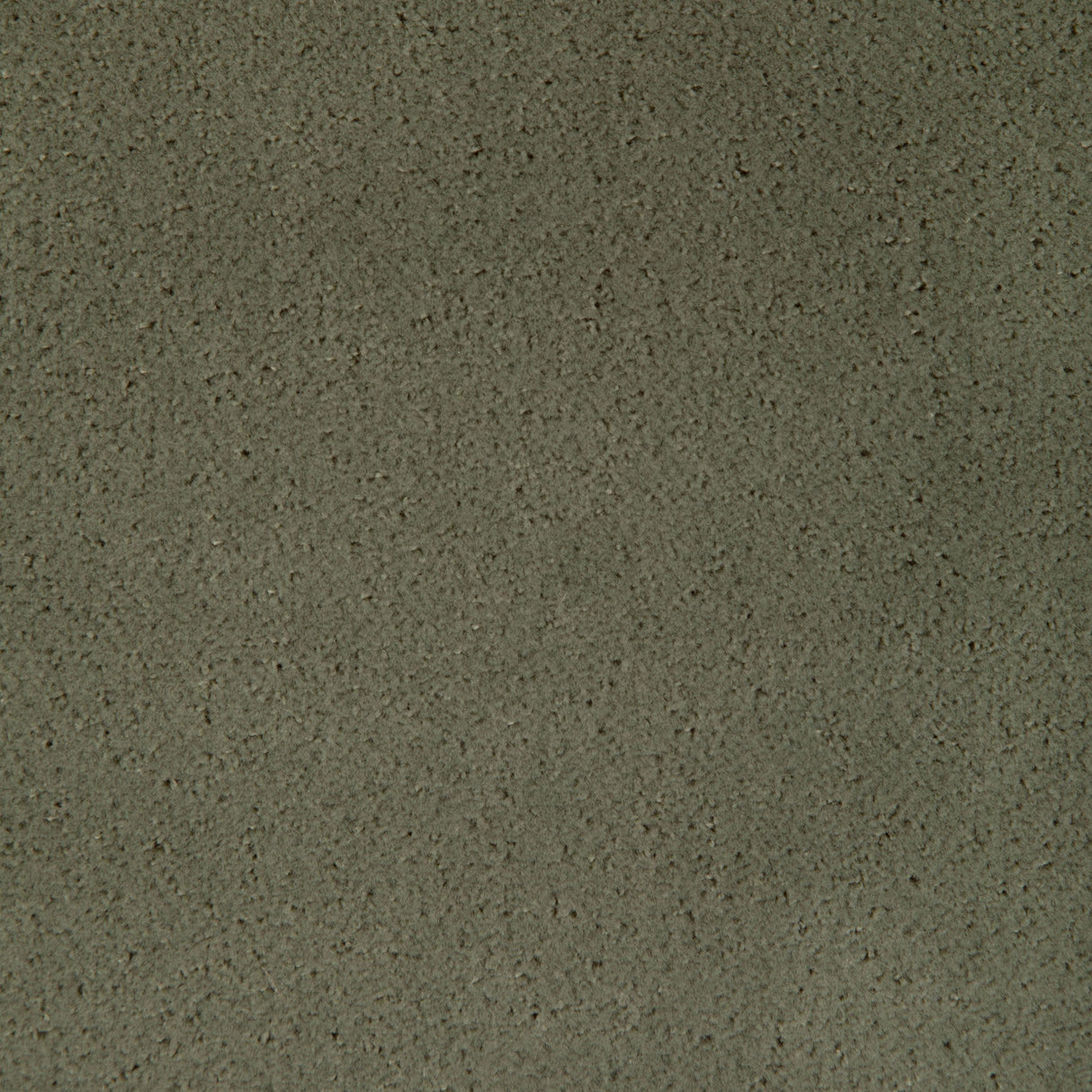 Kravet FOMO FENNEL Upholstery Fabric