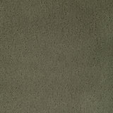 Kravet FOMO FENNEL Upholstery Fabric