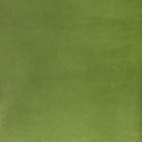 Kravet ROCCO VELVET CACTUS Upholstery Fabric