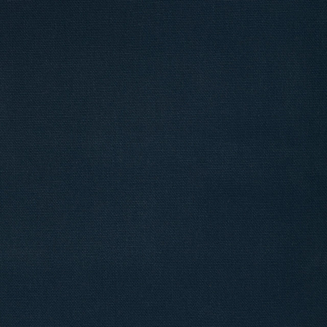 Kravet BASICS 36656 550 Fabric