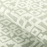 Kravet SPRINGBOK SAGE Upholstery Fabric